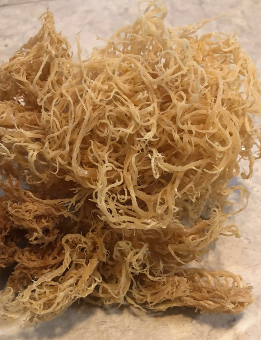 Raw St. Lucia Gold Sea Moss – Wildcrafted & Nutrient-Rich