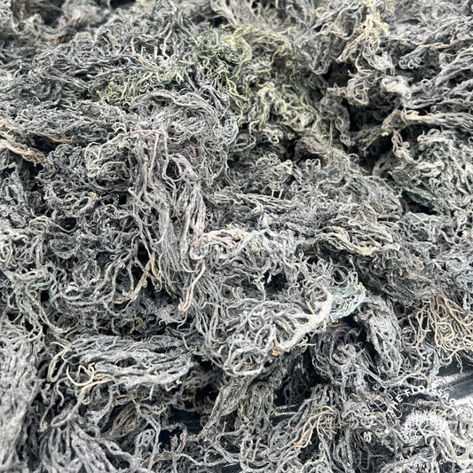 Raw St. Lucia Green Sea Moss – Chlorophyll-Boosted Vitality